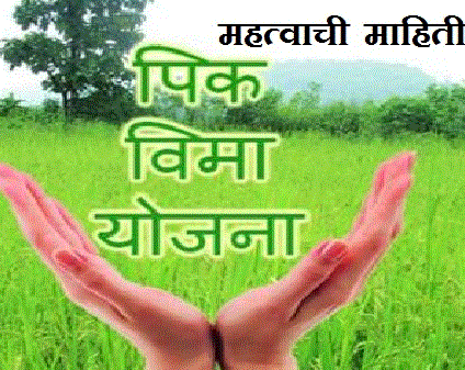 कपि