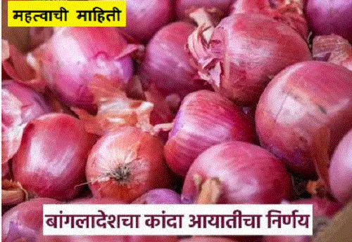 bangla desh kanda niryat