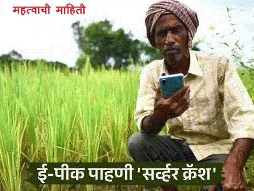 e-pik paahnee servahr krash