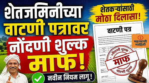 shetjamin nodni shulk maf